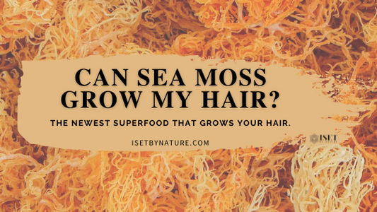 Can Sea moss improve hair growth? Science and culture say yes!