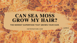 Can Sea moss improve hair growth? Science and culture say yes!