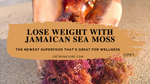 Jamaican Purple Sea Moss