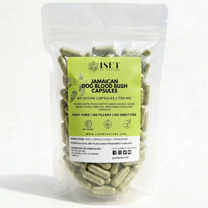 Dog Blood Bush Capsules 1400mg - 60 Capsules, Vegan