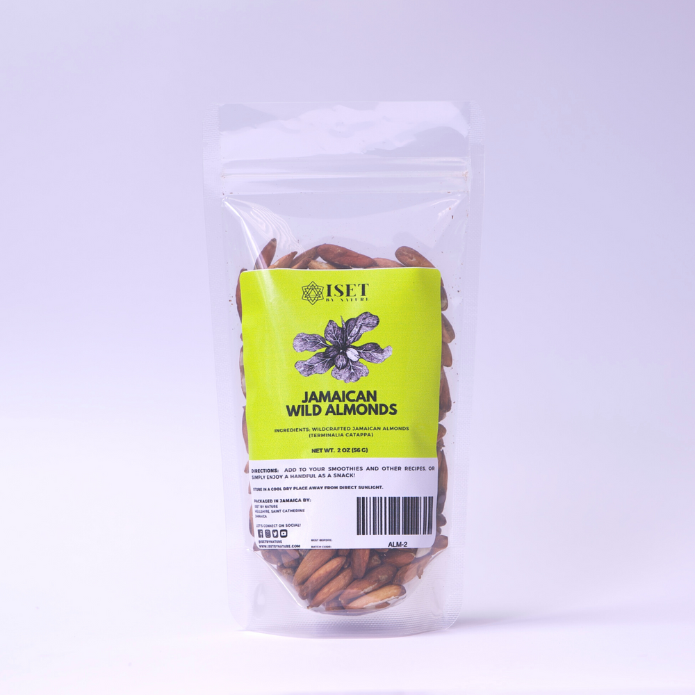 Jamaican Tropical Sea Almond Nut (Raw, Wildcrafted, Superfood Kernel)