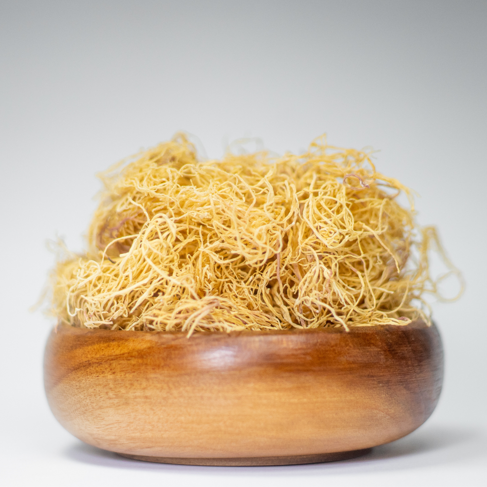 
                  
                    Jamaican Gold Sea Moss (Thin Spaghetti) Wildcrafted, Dr Sebi Alkaline Vegan approved
                  
                