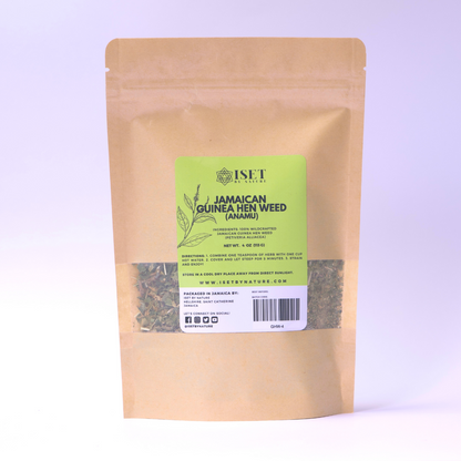 Jamaican Guinea Hen Weed (Wildcrafted) Anamu Herb