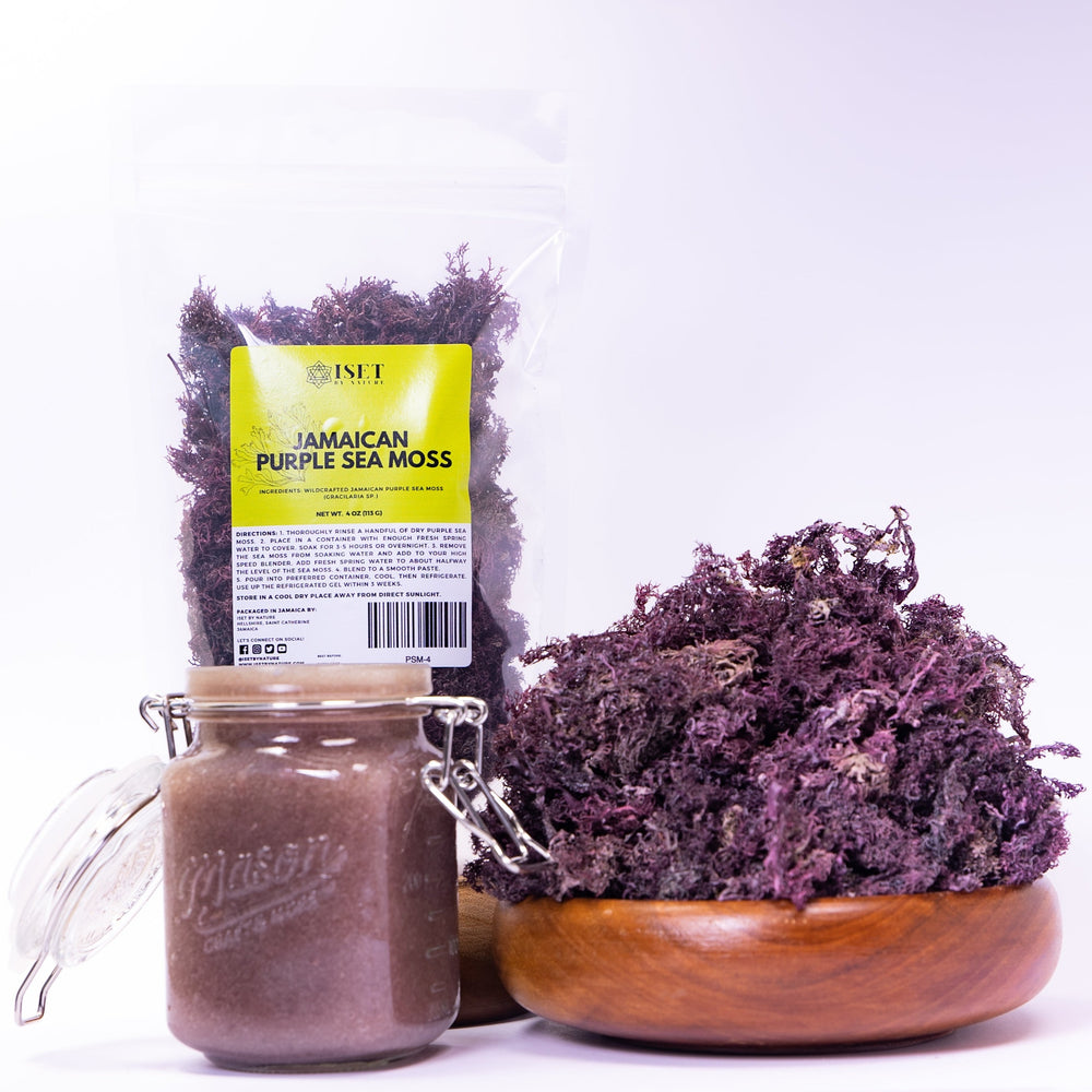 Jamaican Purple Sea Moss (Raw, Wildcrafted) – Iset by Nature