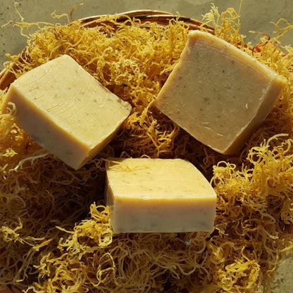 Gold Sea Moss Soap with Organic Jamaican Turmeric Root