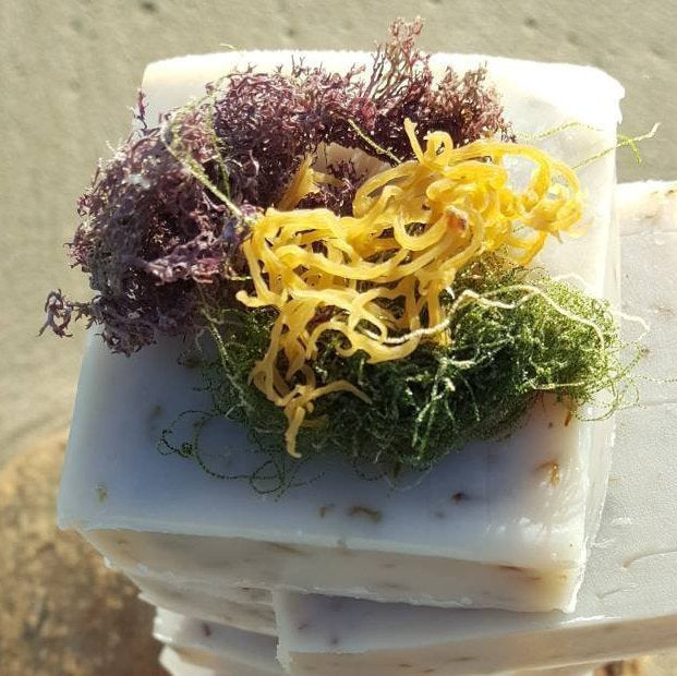 Super Sea Moss Soap with Purple Sea Moss, Gold Sea Moss and Spirulina